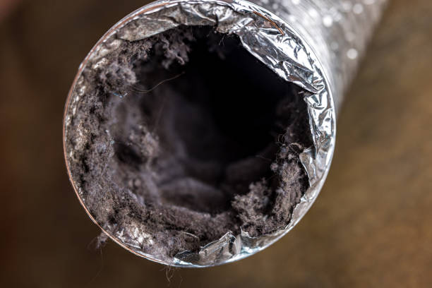 Best Air Duct Cleaning Near Me  in Concordia, NJ