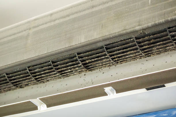 Best HVAC System Cleaning  in Concordia, NJ